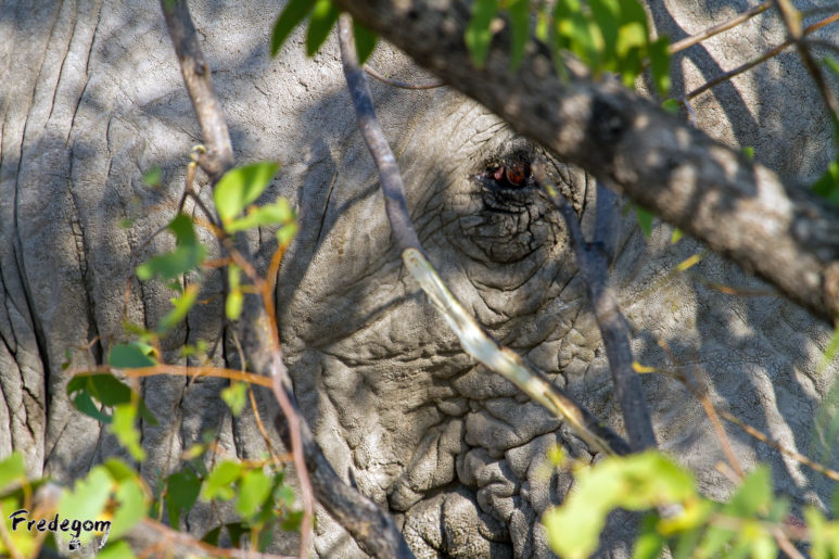 21-Namibie-0033