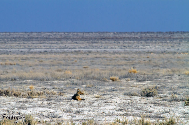 26-Namibie-0048