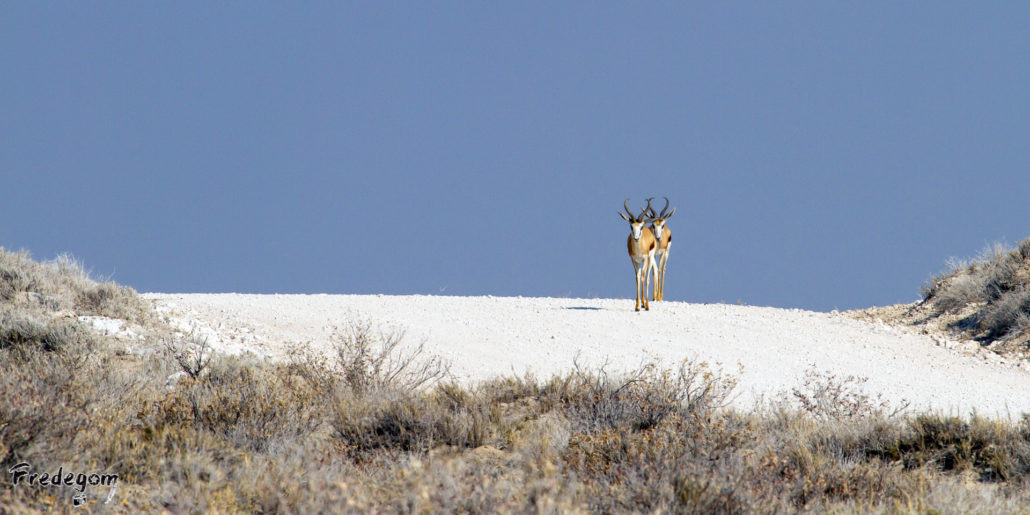 27-Namibie-0068pano