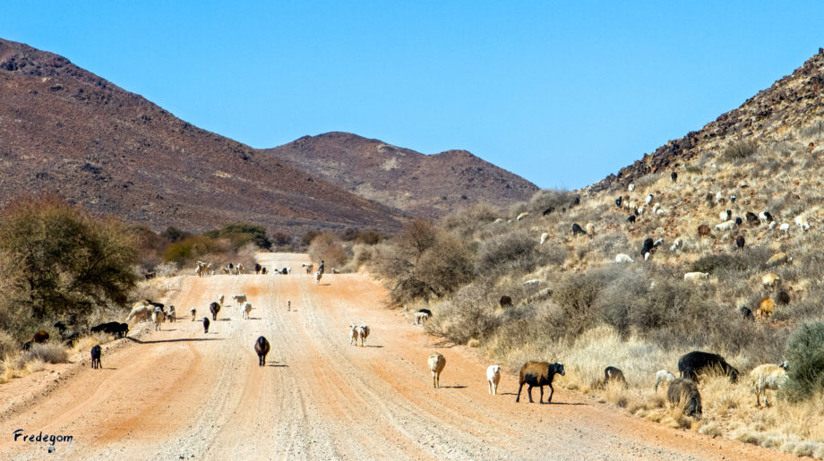 5-Namibie-