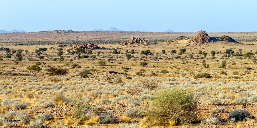 6-Namibie-0765